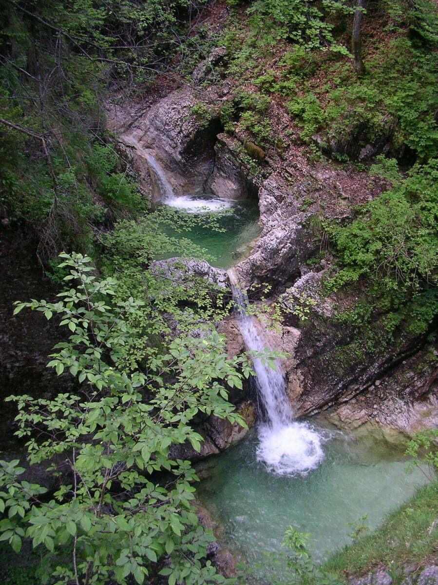 IMGP0114.jpg